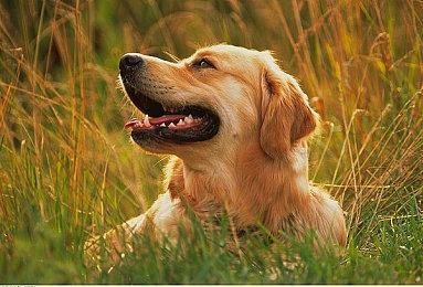 快节奏Roguelike射击游戏《天国射爆王》抢先体验版 7月30日登陆Steam